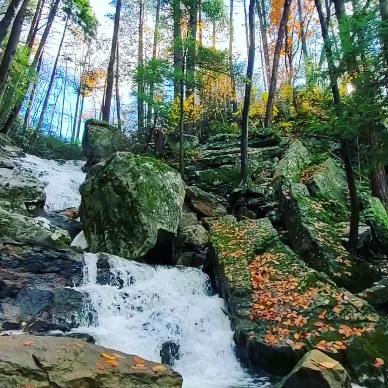 Swatara State Park, Pine Grove