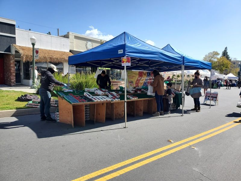 Montrose Farmers Market, Montrose