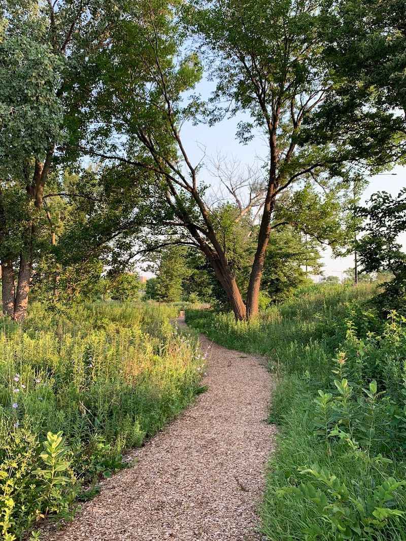 Burnham Nature Sanctuary