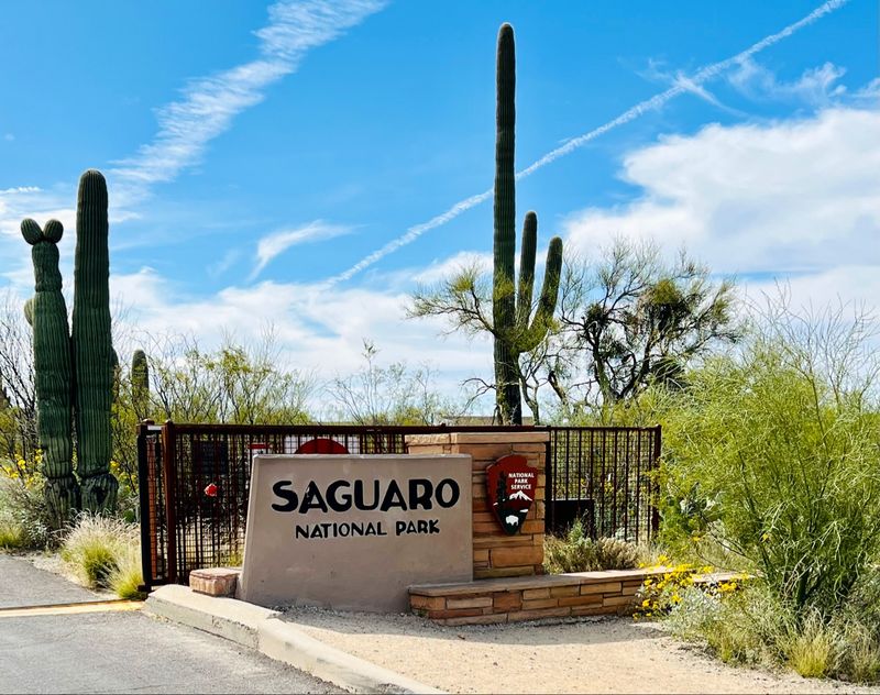 Saguaro National Park And Tucson, Desert Giant Country