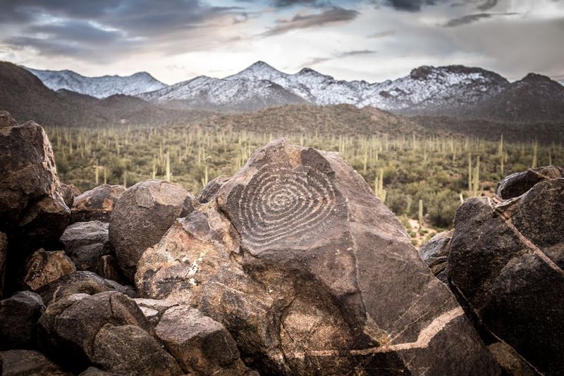 Saguaro National Park West, Tucson