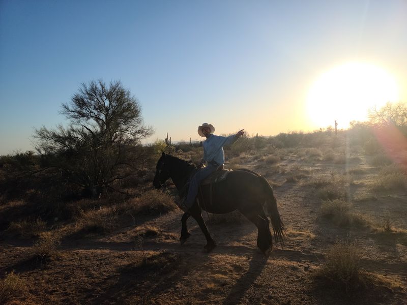 Moonlight Rides Under Arizona Stars