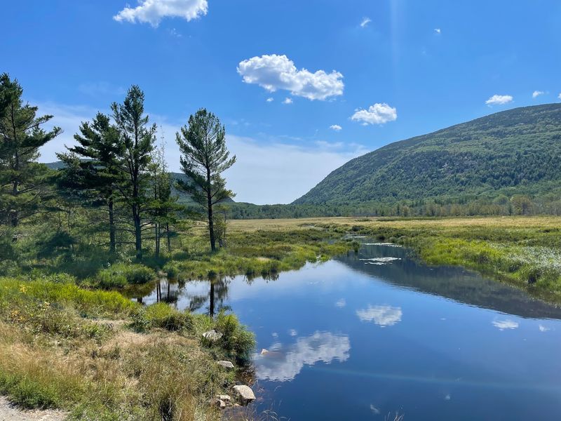 Moose Country And Baxter State Park Adventures