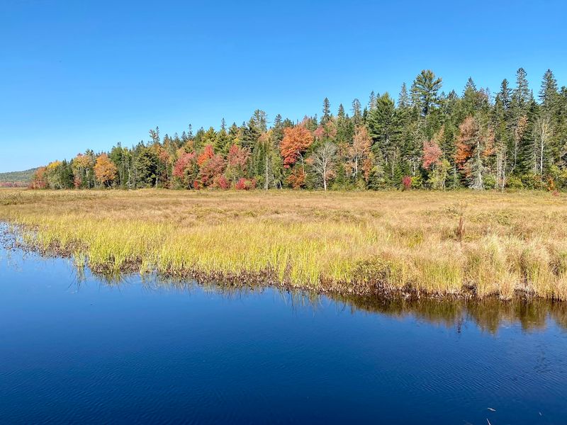 Moosehorn National Wildlife Refuge, Baring