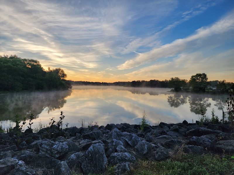 Ned Brown Forest Preserve