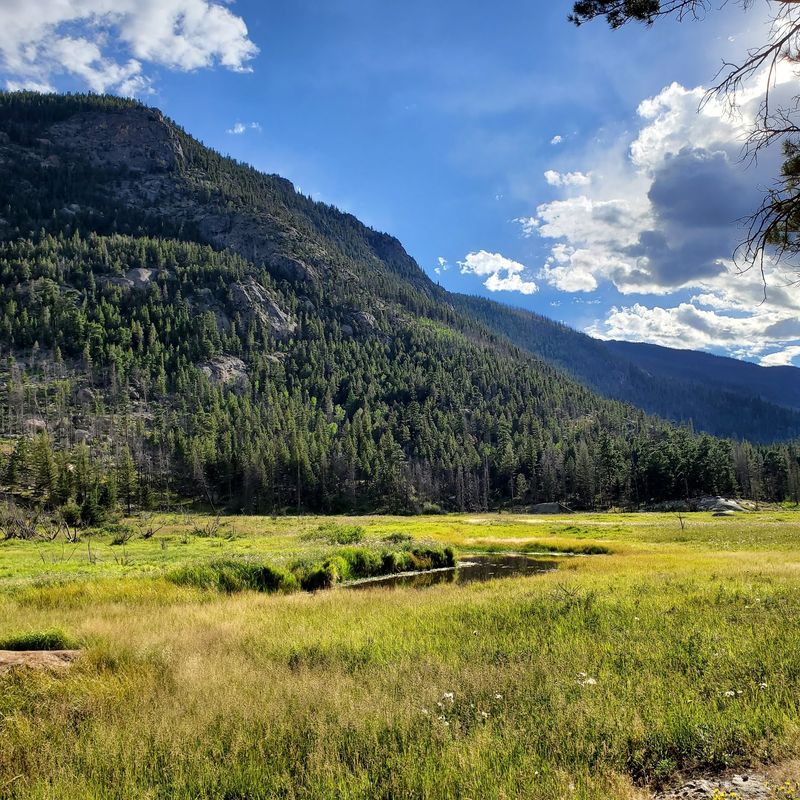 Moraine Park Makes The Plan Feel Simple