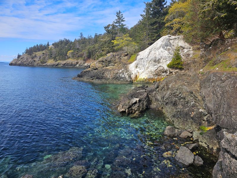 More Marine Neighbors Beyond the Orcas