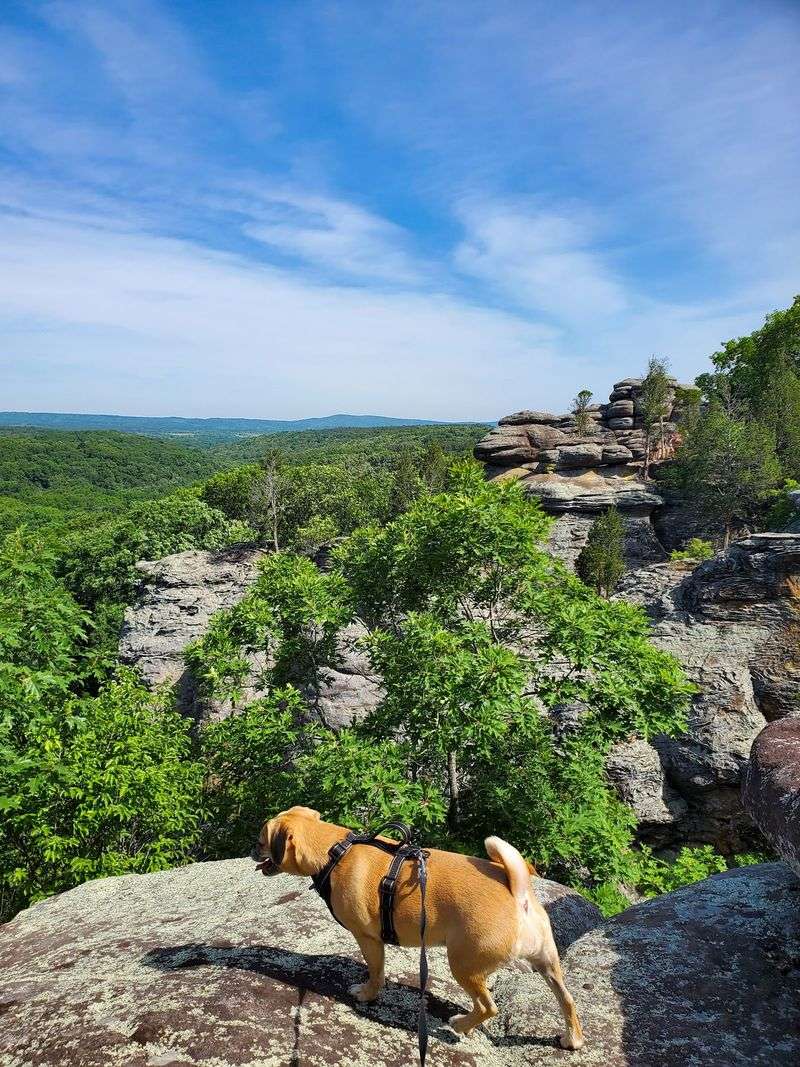 More Miles For Wanderers And Birders