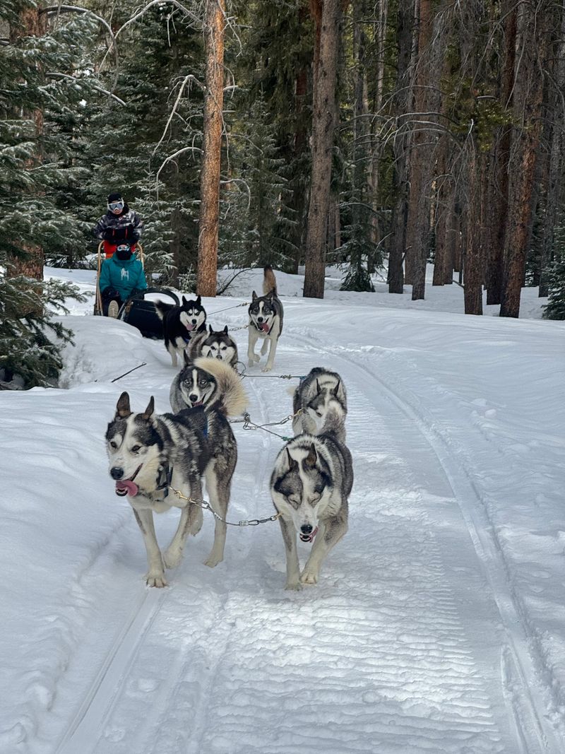 More Than 150 Fluffy Athletes Are Waiting To Say Hello