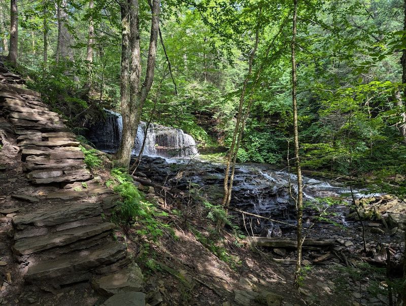 Ganoga Falls Stands 94 Feet Tall