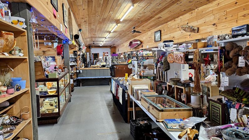 More Than 250 Vendors Under One Roof