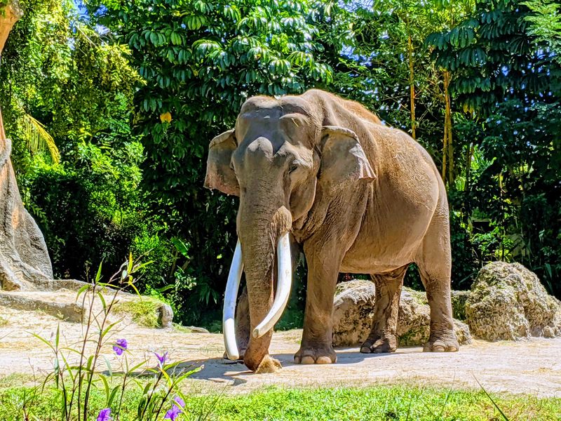 More Than 3,000 Animals Call It Home
