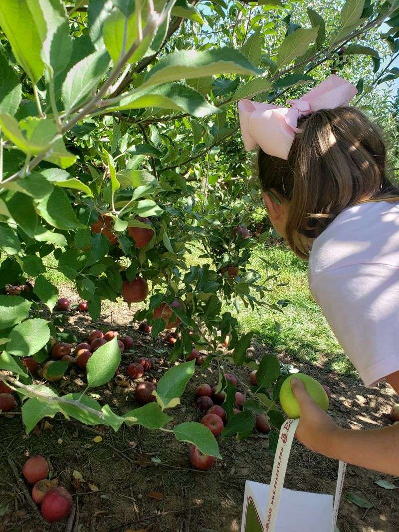 More Than A Meal: The Farm Experience