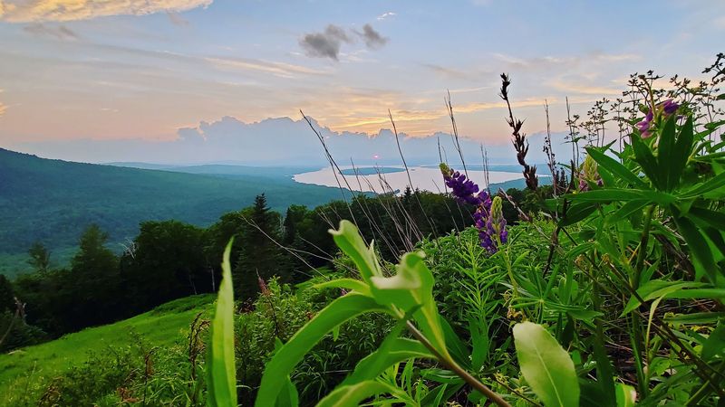 More Than A Pretty View