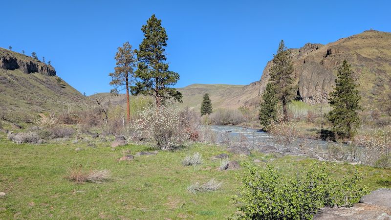 More Than Elk: Moose and Backcountry Roads