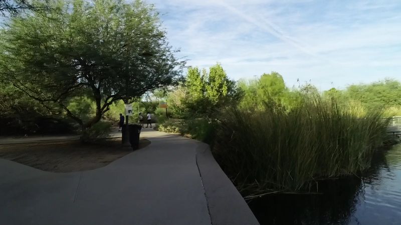 More Than Four Miles of Shaded Trails