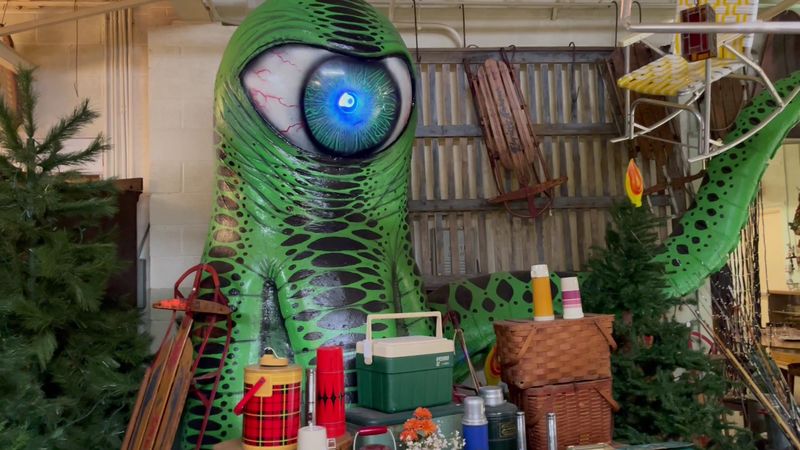 The Quirky Finds You Never Expected