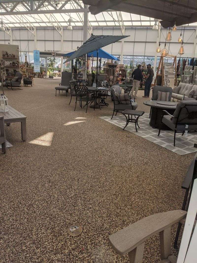 More Than Plants: A Full Shopping Experience