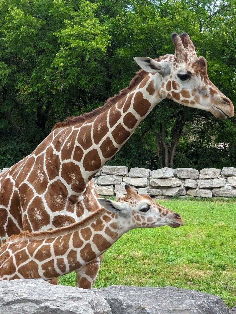 More Than Two Hundred Species To Spot More Than Two Hundred Species To Spot