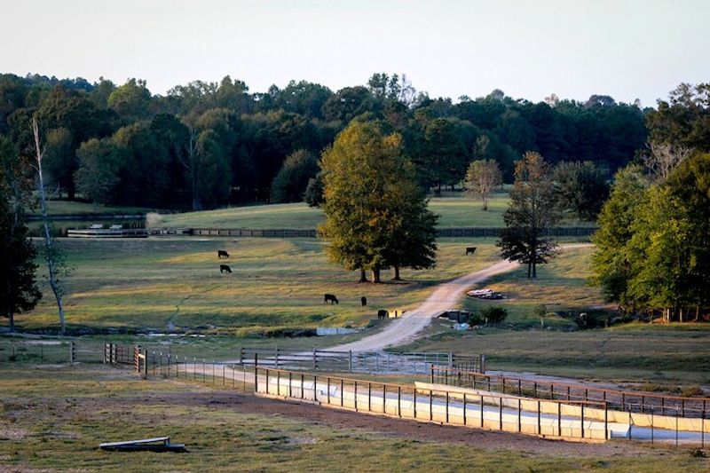 Morgan Farms 22