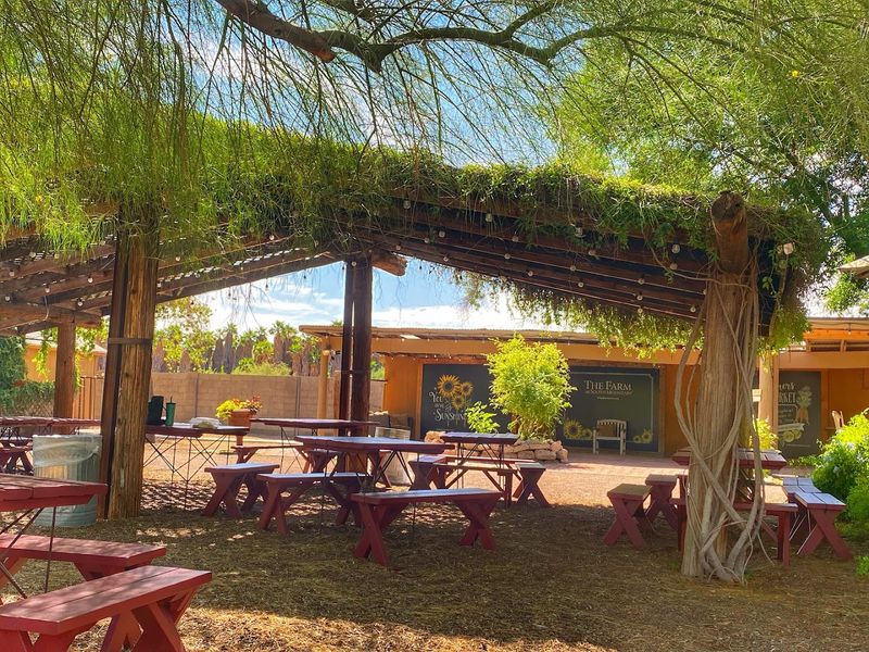 Morning Glory Cafe - Phoenix