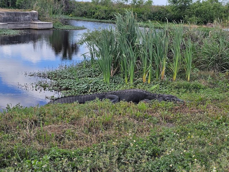 Photography Opportunities Here Are Truly World-Class