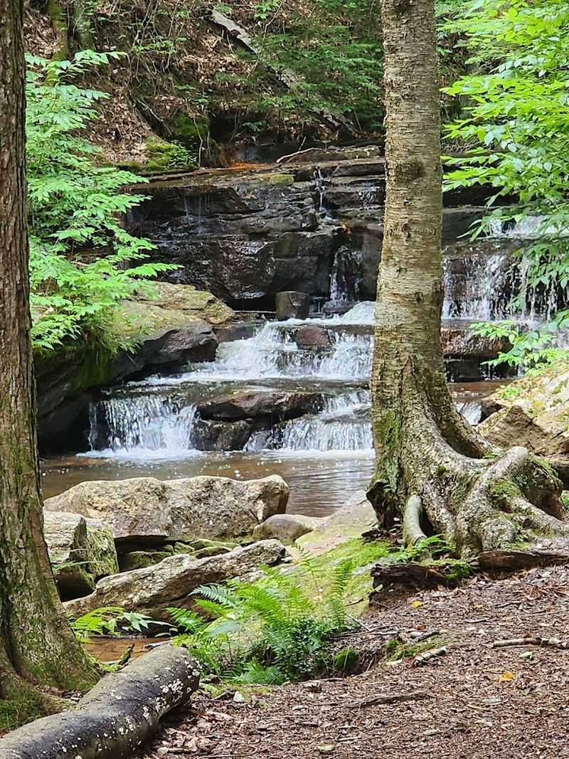 Gerard Hiking Trail, Allegheny National Forest, Pennsylvania