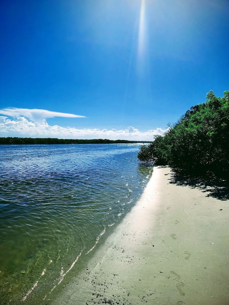 Mosquito Lagoon And Its Wild Reputation