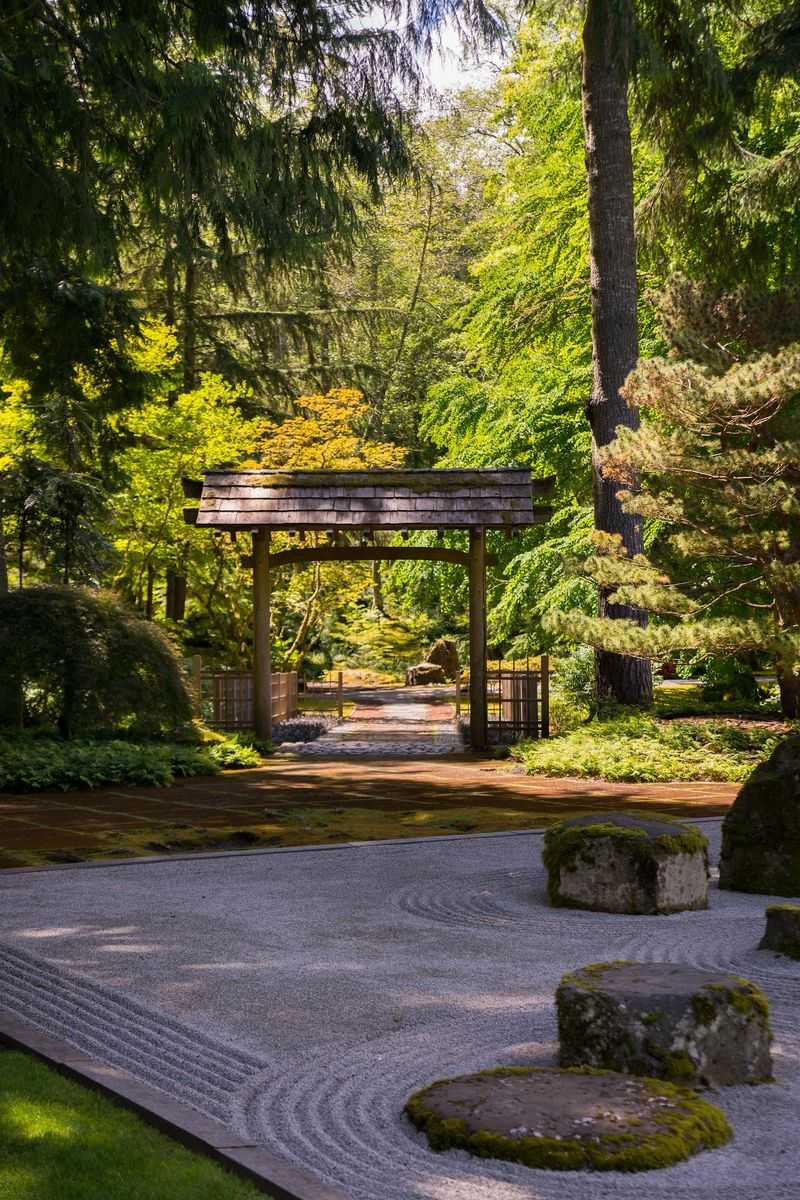 Moss Carpets and Fairy-Tale Woodland Corners
