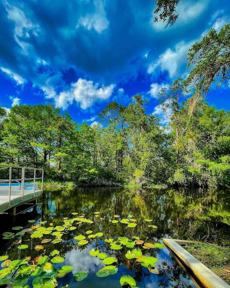 Moss Park, Orlando