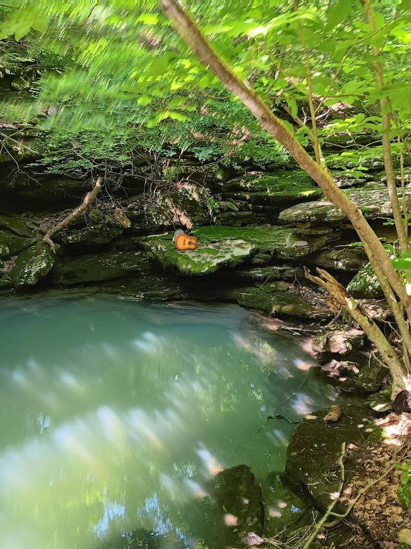 Mossy Bluffs And A Still Forest Pool