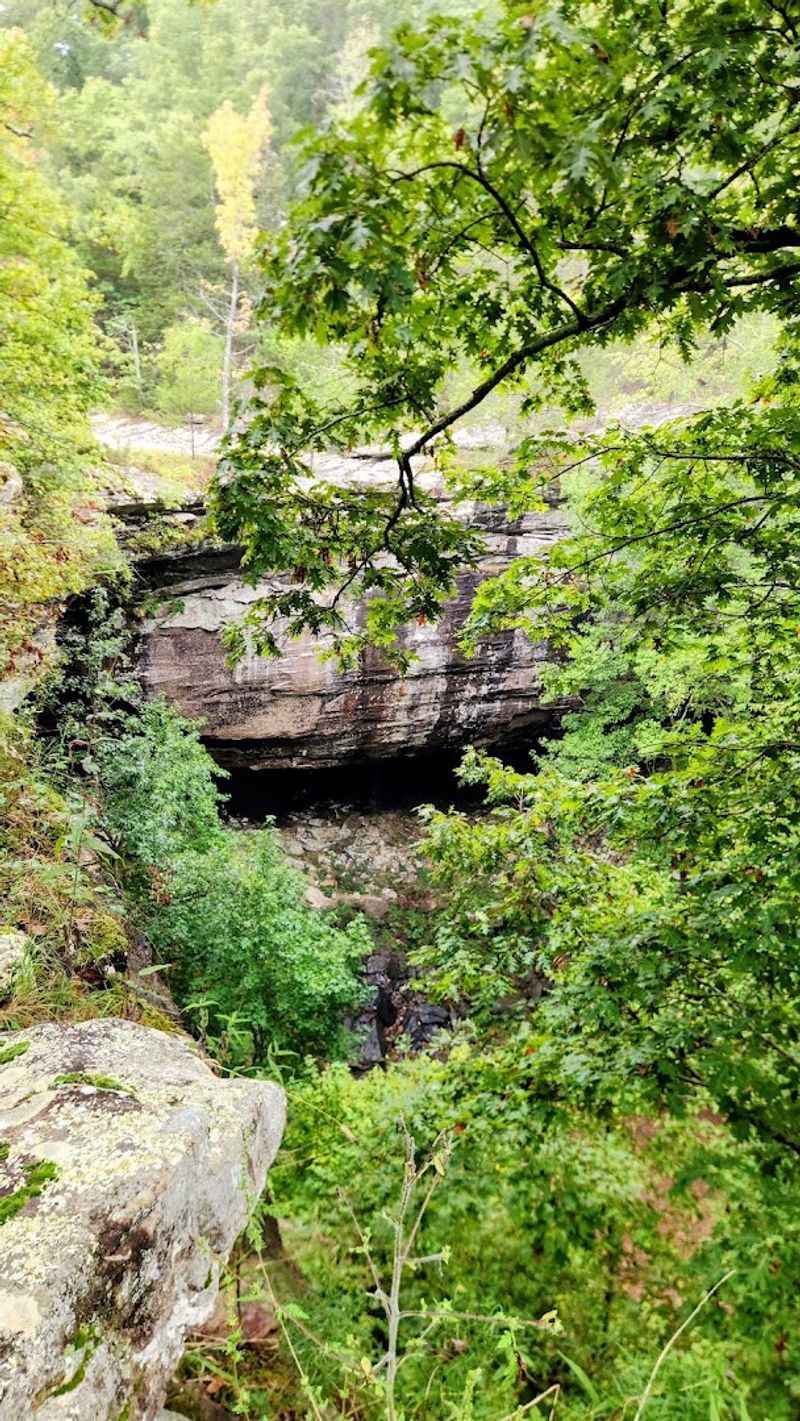 Mossy Bluffs And Shaded Trail Turns