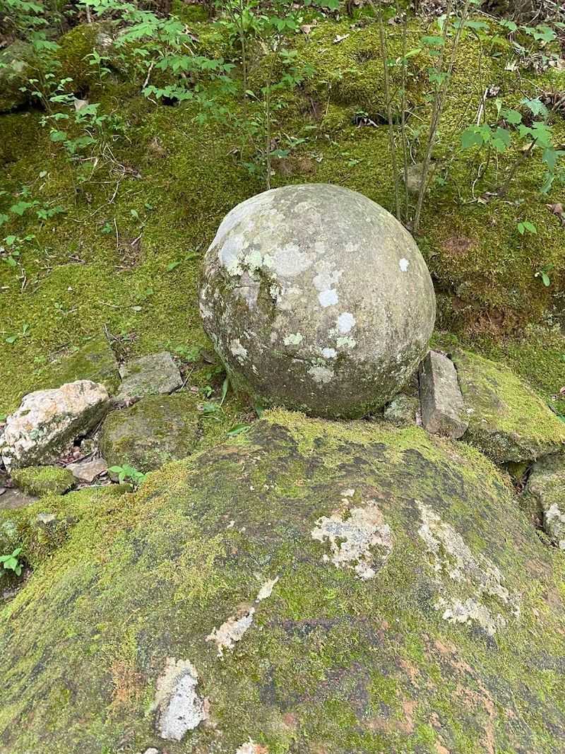 Mossy Rocks Along The Creek