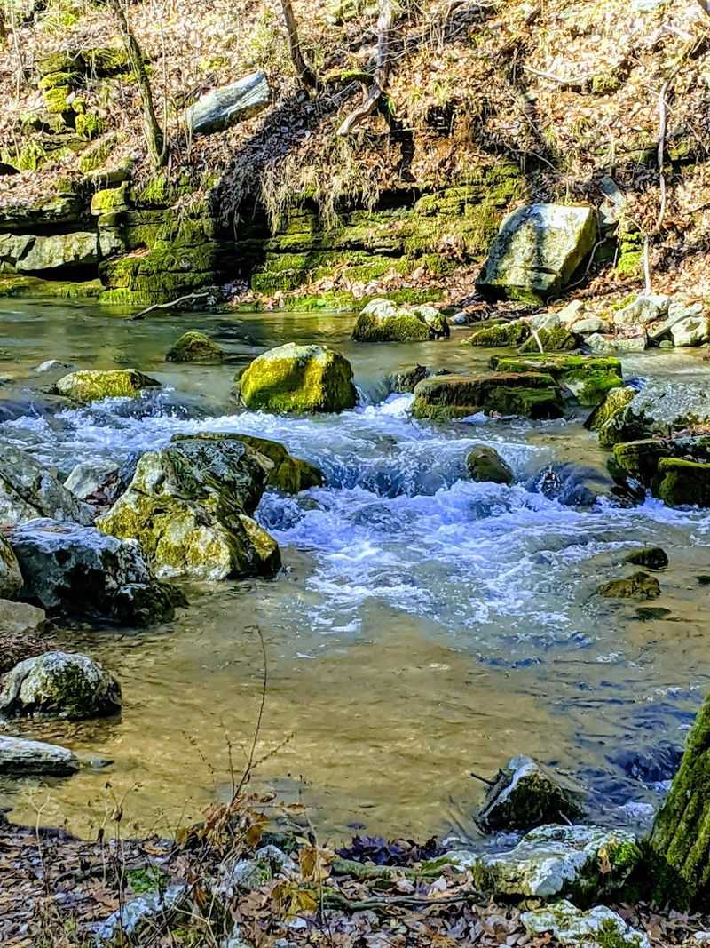 Mossy Rocks Beside Crystal-Clear Flow