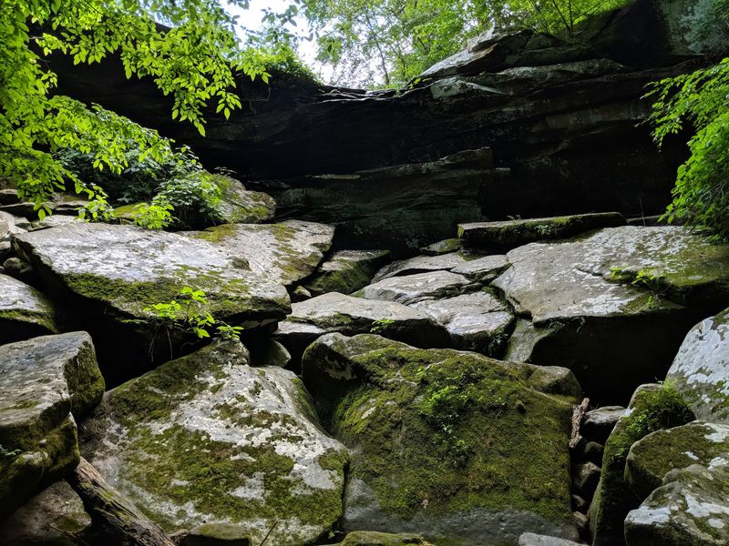Mossy Rocks and Interesting Formations