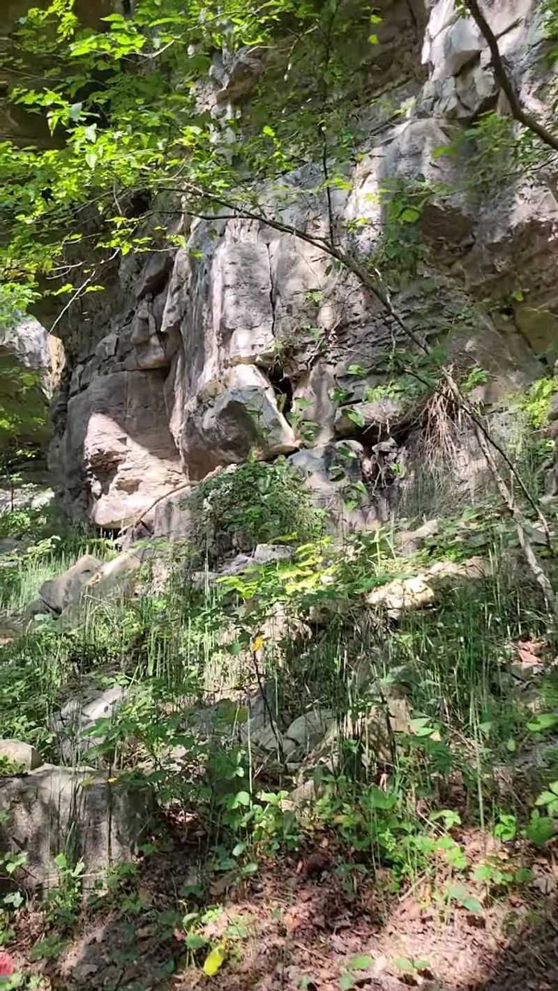 Mossy Stone Steps Near The Waterfall