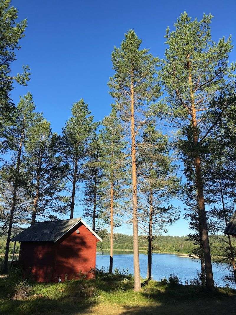 Sunlight Matters More Than The Thermometer In Desert Living