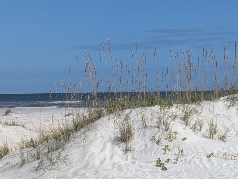 Untouched Dunes That Look Like Desktop Wallpaper