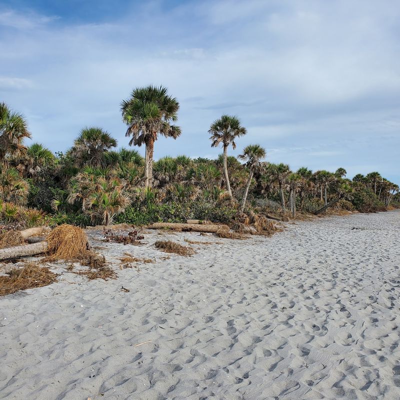 Most Of This Shoreline Still Looks Delightfully Wild