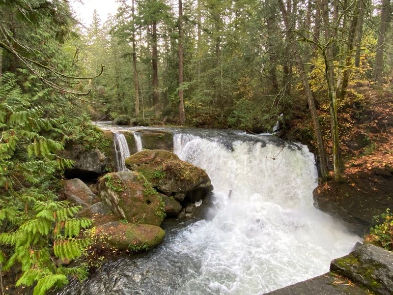 Upper Whatcom Falls: The Park's Crown Jewel