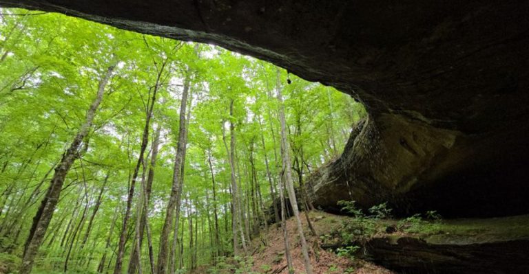 Most People Don’t Realize This Is One Of The Most Beautiful Places In Alabama