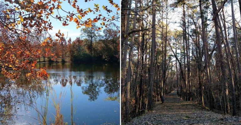 Most People Have Never Heard Of This Enormous 19,000-Acre Illinois State Park