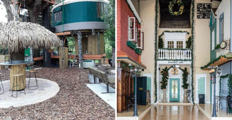 Most People Have Never Heard Of This Florida Farm Stay With Treehouses And Alpacas