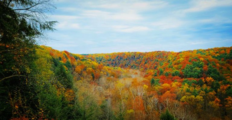 Most People Have No Idea This Picturesque State Park Exists In Ohio