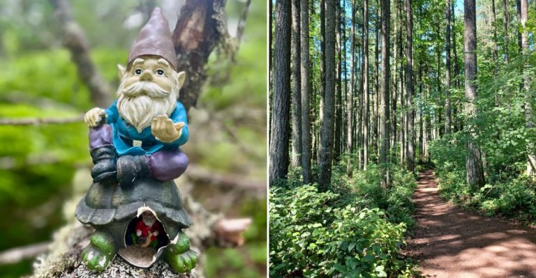 Most People In Washington Have No Idea This Whimsical Gnome Trail Exists