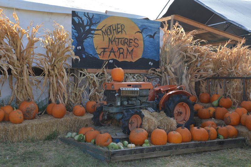 Mother Nature's Farm, Gilbert, AZ