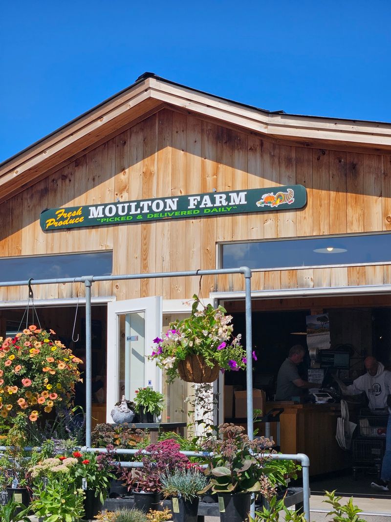 Moulton Farm Moulton Farm