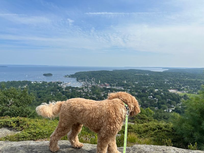 Mount Battie Trail, Camden Hills State Park, Camden