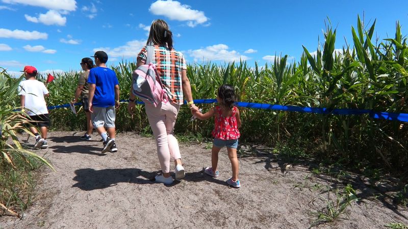 Mount Dora and Great Scott Farms Fall Festival