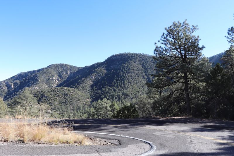 Mount Graham And The Winding Swift Trail